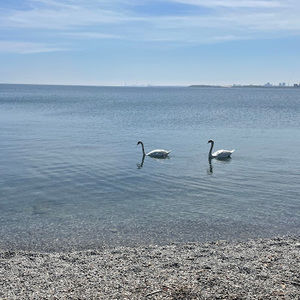 Meet your Posher, Marisa